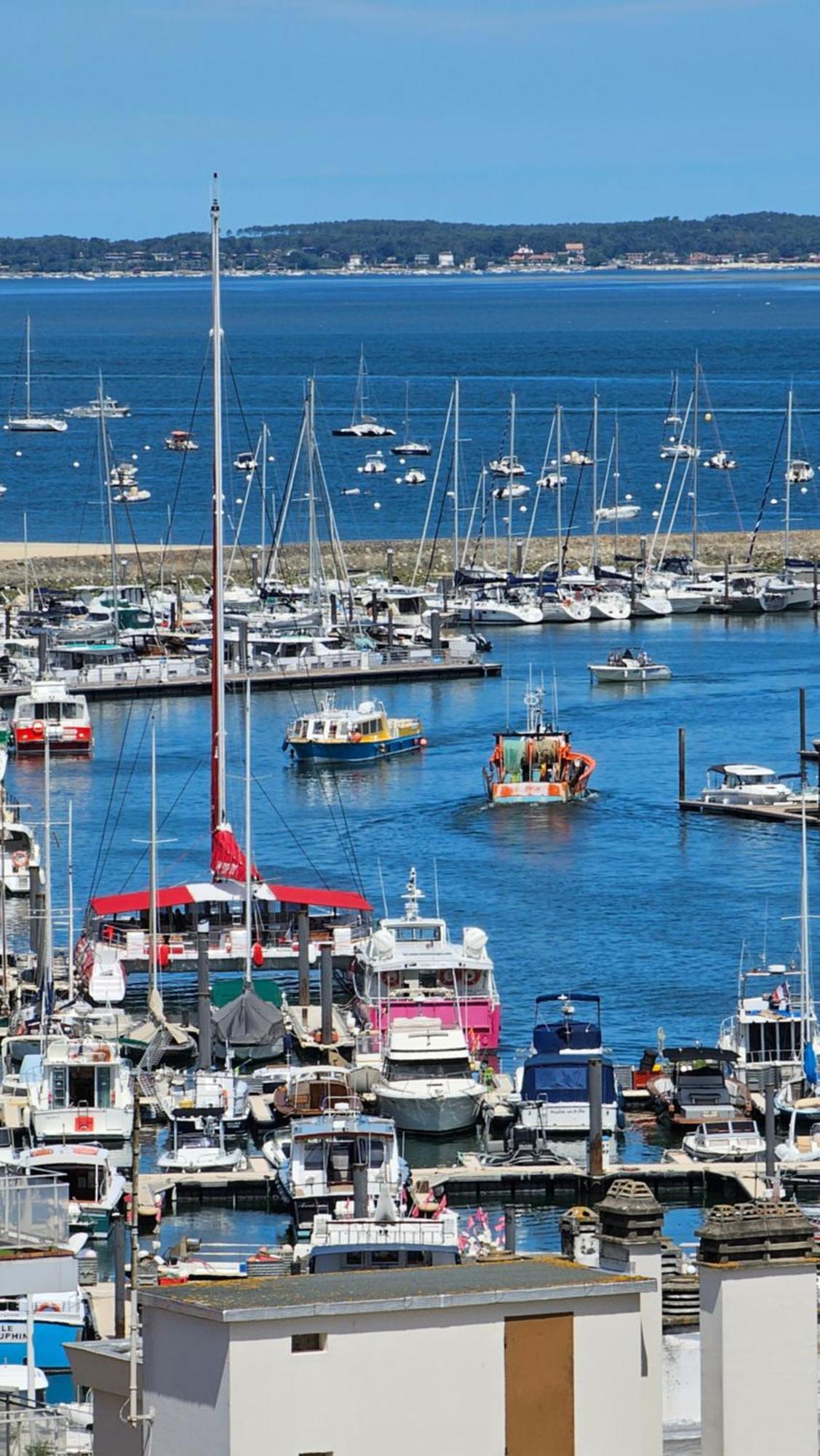 Vue Panoramique Sur Bassin,Piscine Et Terrasse Apartman Arcachon Kültér fotó